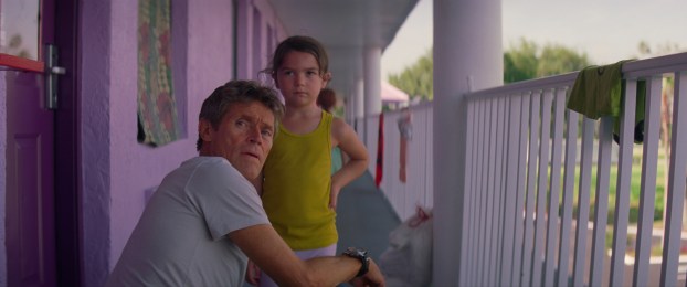 florida project1